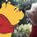 Winnie the Pooh Live