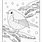 Winter Bird Coloring Pages