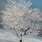 Winter Tree Painting