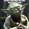 Wise Yoda Meme