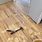 Wood Filler for Hardwood Floors