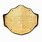 World Heavyweight Championship Belt