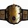 Wrestling Champion Belt