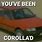 You Have Been Toyota Corolla