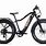 Young Electric Bikes