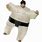 Youth Sumo Wrestler Costume