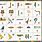Z in Hieroglyphics