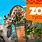 Zoo Tycoon Ultimate