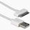 iPad 2 Charger Cable