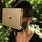 iPad Mini VR