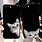 iPhone 8 Cases Animals