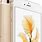 iPhone 8 Plus White Cricket