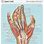 Anatomy of the Human Hand