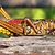 Giant Lubber Grasshopper