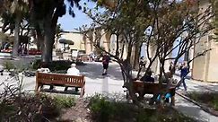Quick Live Video in Upper Barrakka Gardens, Valletta