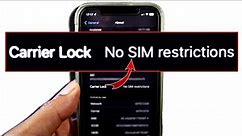 How to check if iPhone is Unlocked