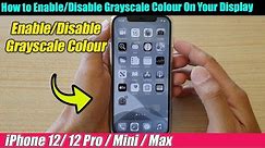 iPhone 12/12 Pro: How to Enable/Disable Grayscale Colour On Your Display
