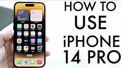 How To Use iPhone 14 Pro/iPhone 14 Pro Max! (Complete Beginners Guide)
