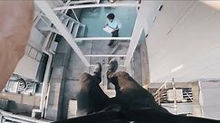 Rooftop Ninja escapes Tokyo security guard 🇯🇵