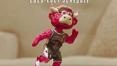 Official 2020-2021 Chicago Bulls Schedule