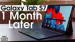 SAMSUNG GALAXY TAB S7 [One Month Later]