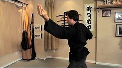 How to Do the Sui No Kata Technique | Ninjutsu Lessons