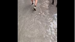 Yankee Stadium Floods After Heavy Downpour In NYC, USA, Yankees VS Brewers Game Delayed