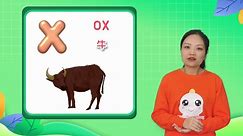 ”x“字母组词有哪些？six？ox？