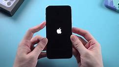 How to Fix iPhone X Stuck on Apple Logo | Tenorshare ReiBoot