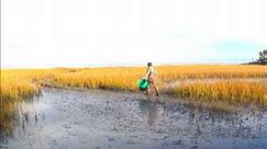 Harvesting Quahog Clams with Chef Gus Headington of Soundside Restaurant