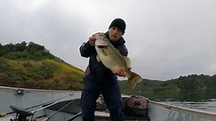 Biggest Fish Of The Year So Far! Lake Casitas May 2024