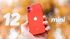 iPhone 12 mini : le MEILLEUR iPhone d'Apple !