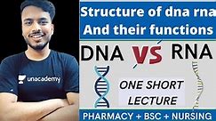 Structure of DNA and RNA and their functions || structure of dna and rna || dna vs rna #sgsir