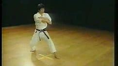 Nijushiho - Shotokan Karate