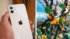 iPhone 12 FULL Camera Test - STUNNING Results!