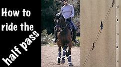 How to ride the half pass - Amelia Newcomb Dressage