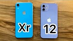 iPhone Xr vs iPhone 12