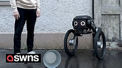 Company unveil cute AI security guard robots - and they resemble a robo-sidekick from an 80s TV show