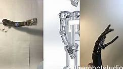 Humanoid robot overview