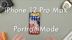 How to Activate Portrait Mode on the iPhone 12 Pro Max || Apple iPhone 12 Pro Max