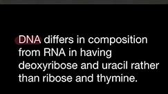 DNA composition vs RNA