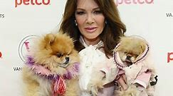 Lisa Vanderpump just opened a posh dog rescue center, and her philosophy behind luxe adoptions makes sense