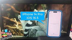 How to Remove iCloud Owner Lock on iPhone 11, 12, 13, 14 BYPASS iOS 16.5