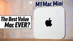 M1 Mac Mini Review after 2 Months - The New Standard!