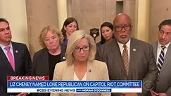 Pelosi appoints Liz Cheney to Capitol riot committee