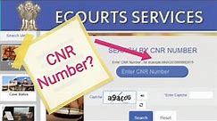 What Is CNR Number? In Detail | How To Check Court Case Status With CNR Number | Ecourt Services |