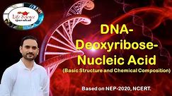 DNA: Deoxyribose Nucleic Acid (Structure & Chemical composition)।।डीएनए: संरचना व रासायनिक संगठन।।