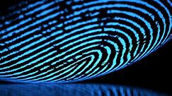 Use the fingerprint sensor on your Galaxy phone or tablet
