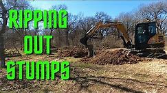 Grandview TX, Ripping Out Stumps (Sany SY60C Excavator)