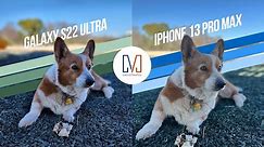 Samsung Galaxy S22 Ultra vs iPhone 13 Pro Max: Camera Shootout